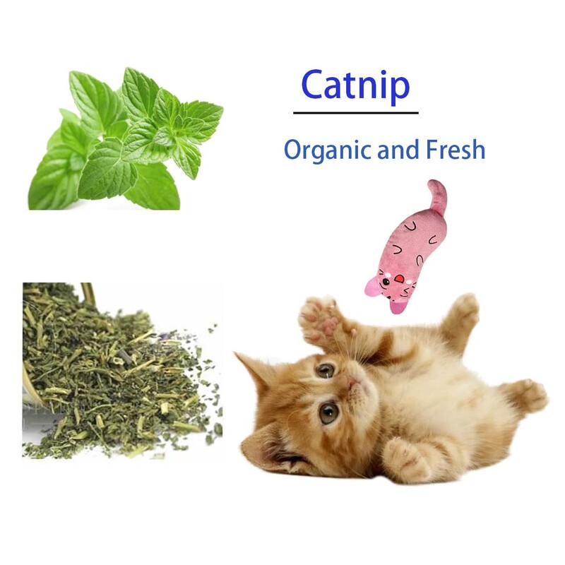 Juokingas interaktyvus pliušinis žaislas katėms, mini dantų šlifavimas, katžolės žaislai, kačiuko kramtymas, girgždantis žaislas, naminių gyvūnėlių priedai