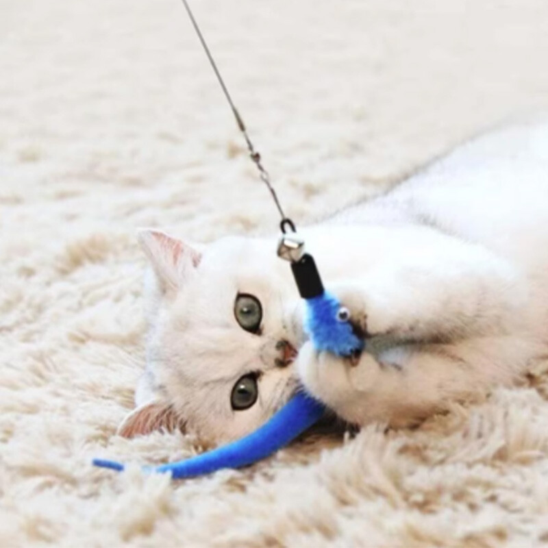 Set de jucării cu pene de pisică de schimb 11 buc. Cap de schimb cu pene Stick de pisică retractabil Produse pentru pisici