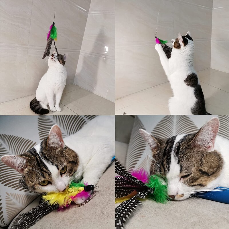 10 bucăți de jucării de schimb cu pene de pisică, rezerve cu pene naturale pentru jucării de interior pentru pisici, pisicuță care se distrează jucându-se cu pene