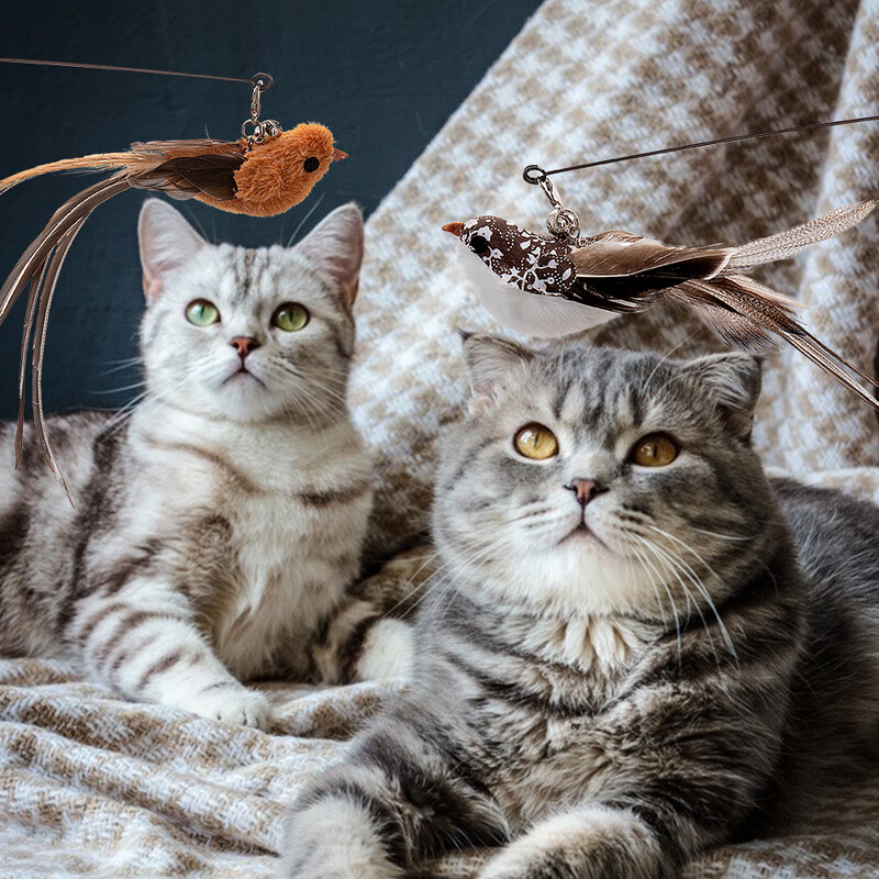 Baghetă de pisică cu pasăre/pene fără mâini cu ventuză puternică Jucării interactive pentru pisici, pisicuțe, vânătoare, exerciții, produse pentru animale de companie
