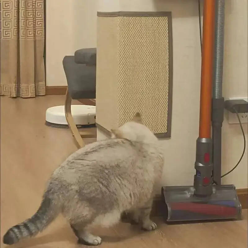 Dīvāna aizsardzība pret kaķu skrāpējumiem artefakts kaķēnu spīļu dzirnaviņas mājdzīvnieku dīvāngultas aizsargājošs spilvena pārvalks pret kodumiem kaķu skrāpējumu paliktnis