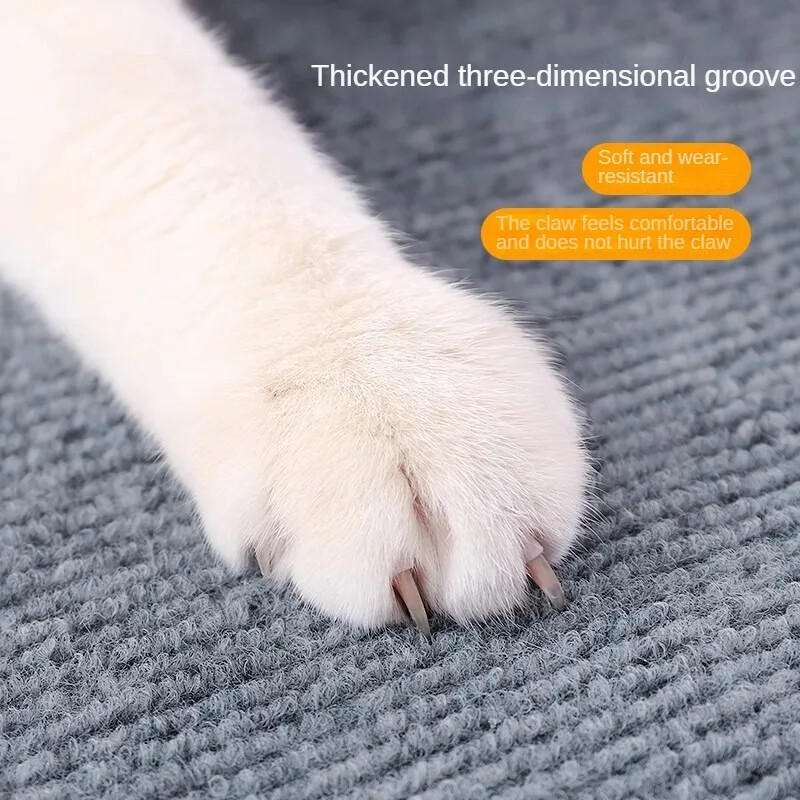 Sofos braižymo stulpelis ats Daiktams Lipnios juostos kilimų grandikliai katėms, nagų galąstuvas, draskyklės priedai, grandiklis augintinis