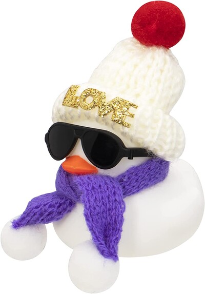 Anties automobilio prietaisų skydelio apdaila, guminiai anties automobilio dekoravimo priedai, automobilių dekoravimo priedai su mini kepure ir akiniais nuo saulės