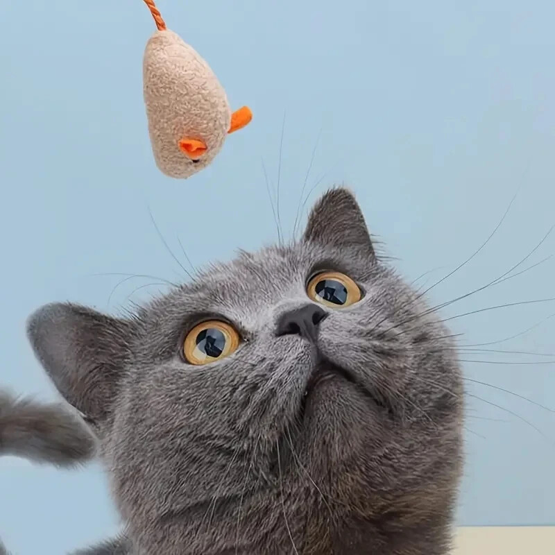 3/7 KOM Interaktivne plišane igračke za štakore i mačke s izdržljivom posteljinom, savršene za male pasmine, sigurne za igru u zatvorenom prostoru