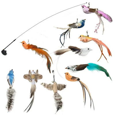 Imitaciniai paukščių kačių žaislai Juokingi interaktyvūs povai su varpelio katės lazdele žaislas kačiukui, žaidžiančiam erzinti lazdelę Žaislai naminių kačių reikmenys