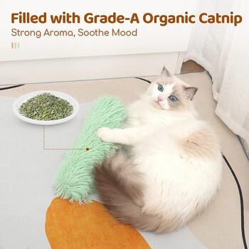 Catnip Cat Toys Забавни интерактивни плюшени звучащи играчки за домашни любимци за котенца Устойчиви на ухапване зъби, скърцащи със зъби Котешка възглавница Играчка Зоотовары