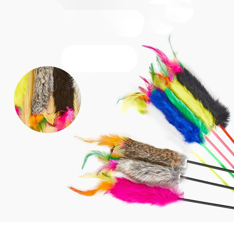 1 vnt Kačių žaislas Juokingas žaislas naminiams gyvūnėliams katėms Interaktyvus kačių lazdelė su plunksna kačiuko žaislai atsitiktinių spalvų naminiams gyvūnėliams