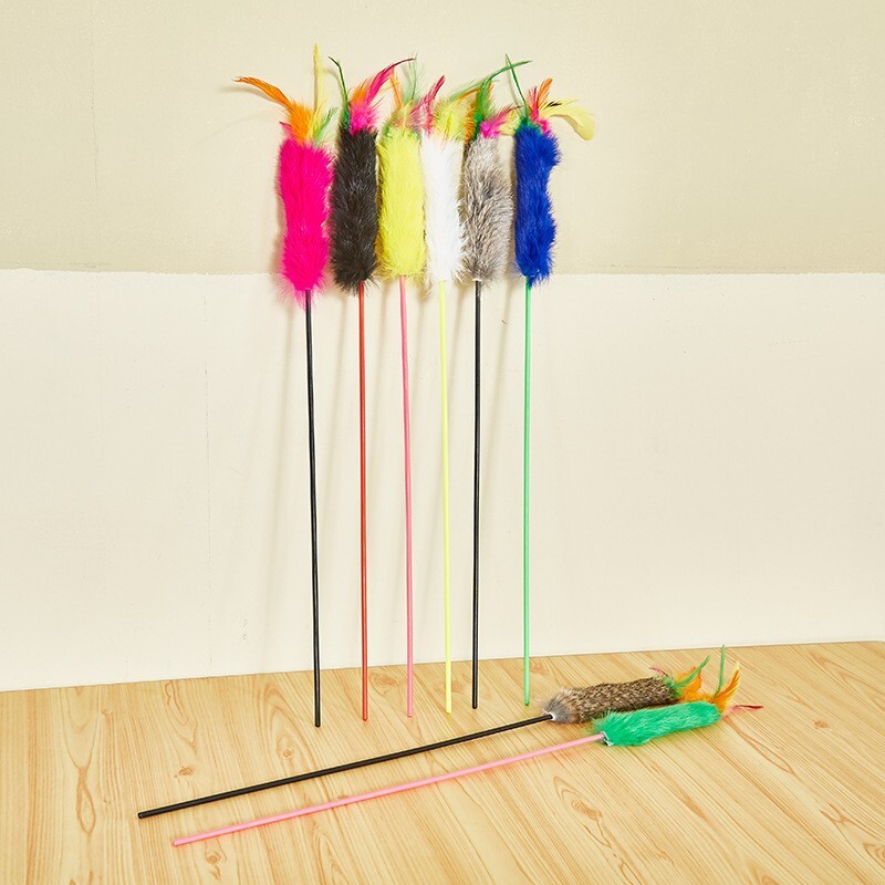 1 vnt Kačių žaislas Juokingas žaislas naminiams gyvūnėliams katėms Interaktyvus kačių lazdelė su plunksna kačiuko žaislai atsitiktinių spalvų naminiams gyvūnėliams