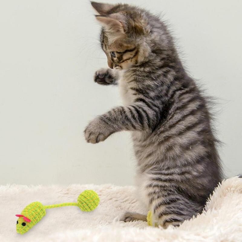 Girgždanti pelė katėms Interaktyvūs kačių žaislai kambarinėms katėms Juokingi dantukų valymo kramtomieji žaislai mažiems šunims katėms šuniukai atsitiktiniai