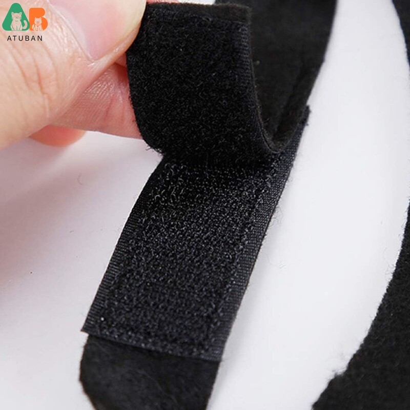 Mājdzīvnieka kaķa sikspārņu spārni Helovīna ballīšu dekorēšanai, kucēna kaklasiksna, kostīma sikspārņa kostīms, jauki kucēna kaķa ģērbšanās piederumi