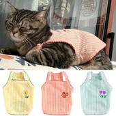 Jauka Sfinksas kaķa veste kaķiem Gotas Kaķēnu apģērbi Vasaras mājdzīvnieku tops Siāmas, Persiešu Vestes maskotas Apģērbs harnais tērzēšana