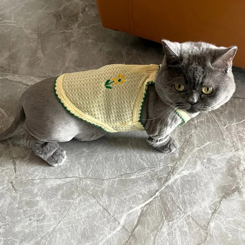 Jauka Sfinksas kaķa veste kaķiem Gotas Kaķēnu apģērbi Vasaras mājdzīvnieku tops Siāmas, Persiešu Vestes maskotas Apģērbs harnais tērzēšana