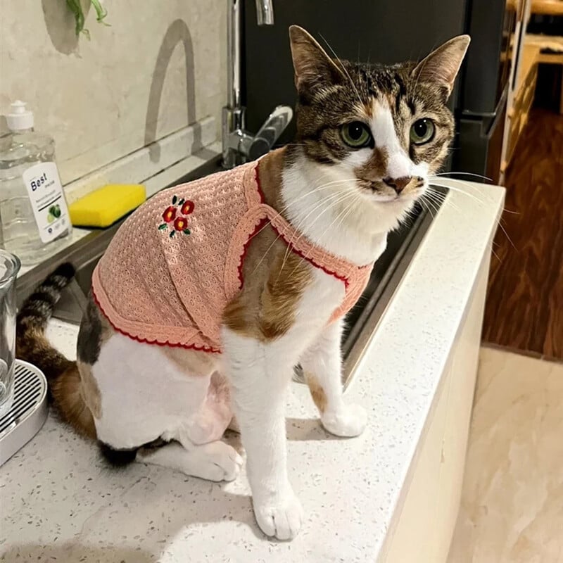 Jauka Sfinksas kaķa veste kaķiem Gotas Kaķēnu apģērbi Vasaras mājdzīvnieku tops Siāmas, Persiešu Vestes maskotas Apģērbs harnais tērzēšana