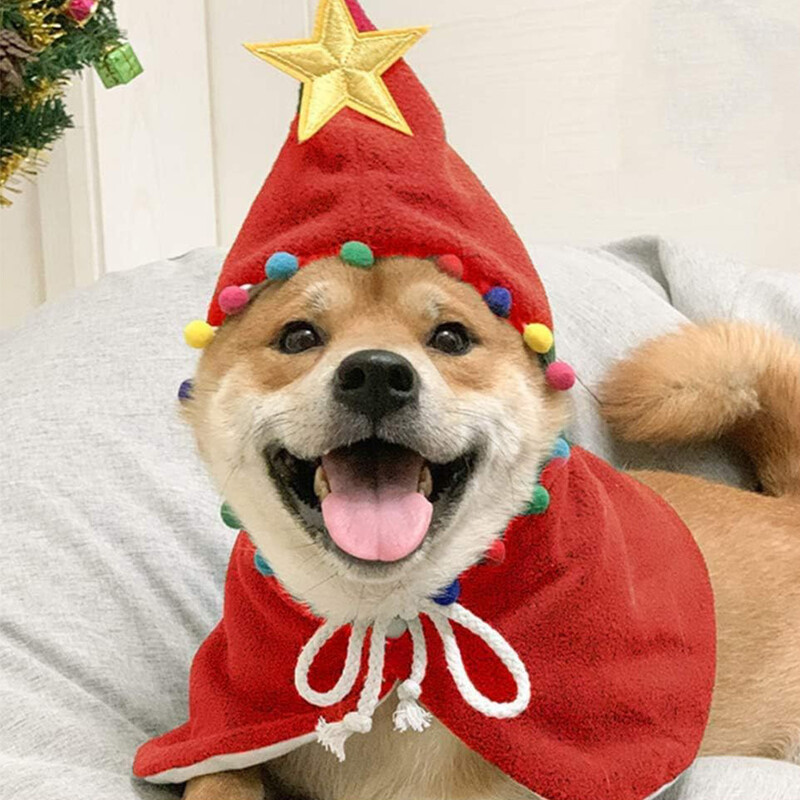 Costum de mantie de pisică de Crăciun Haine de Crăciun pentru animale de companie cu stea și pompoane Costum de pisică de Crăciun Pălărie de Moș Crăciun pentru câini mici și pisici Pisicuță