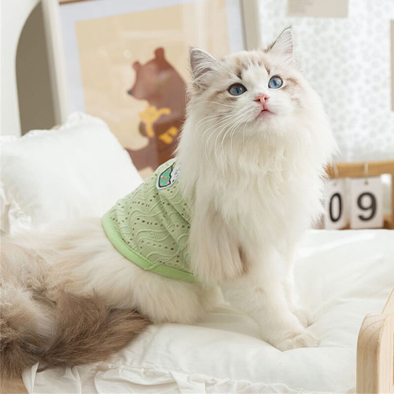 Îmbrăcăminte cu plasă respirabilă Sphynx pentru pisici Îmbrăcăminte de vară pentru animale de companie Camisole Vesta pentru pisici Gotas Pisicuțe Garfield Cămăși pentru câini Mascote Îmbrăcăminte