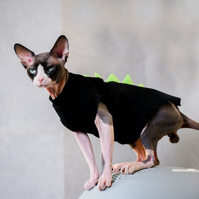 Ērts Sfinksa kaķu apģērbs Kaķu mētelis ar kapuci mājdzīvnieku apģērbam Mīlīgs apģērbs Kaila kaķu krekls Mājdzīvnieku apģērbs Devon Rex apģērbs