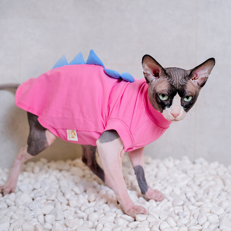 Ērts Sfinksa kaķu apģērbs Kaķu mētelis ar kapuci mājdzīvnieku apģērbam Mīlīgs apģērbs Kaila kaķu krekls Mājdzīvnieku apģērbs Devon Rex apģērbs