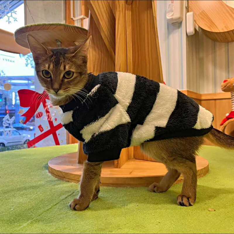 Rudeniniai žieminiai katės rūbai dryžuoti Minkšti jaukūs šilti megztiniai mažiems šunims katėms kačiukams vilnos megztinis šuniuko kostiumas mopsas