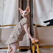 Sfinkso katės žieminiai drabužiai Minkšta leopardinė striukė kačiukams Šiltas storas medvilninis paltas beplaukėms katėms rudens pavasario apatiniai drabužiai