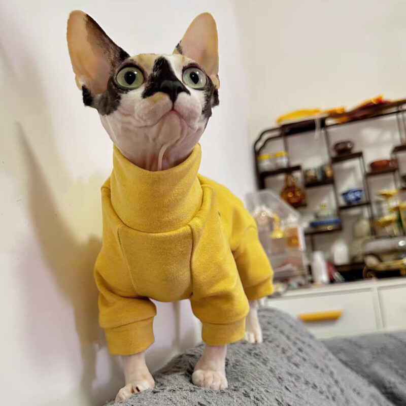 Šiltas vilnonis paltas Sfinkso katėms Pavasarinis Minkštas 4 kojų kombinezonas kačiukams Geltonas megztinis aukštu kaklu, skirtas Devon Rex žiemą
