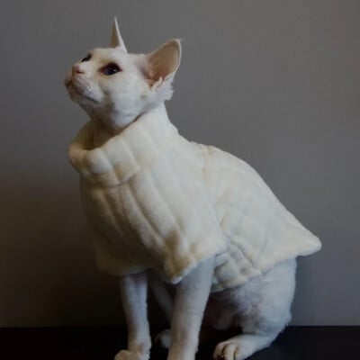 Pulover nou Sphynx pentru pisici Cămașă moale pentru bebeluși cu două picioare pentru pisica fără păr, iarnă, caldă, de culoare solidă, cornish, haine pentru pisoi de companie