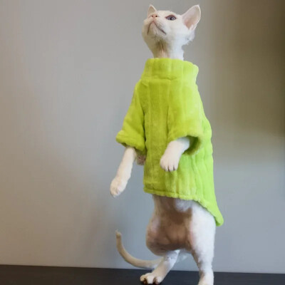 Pulover nou Sphynx pentru pisici Cămașă moale pentru bebeluși cu două picioare pentru pisica fără păr, iarnă, caldă, de culoare solidă, cornish, haine pentru pisoi de companie
