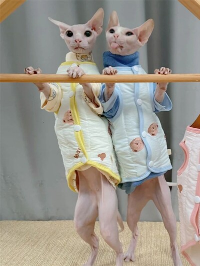 Jachetă de iarnă din bumbac groasă de desene animate pentru pisică Sphynx Toamnă Caldă drăguță haină galbenă pentru pisoi Roz Albastru Imbracaminte de relaxare pentru Devon Rex