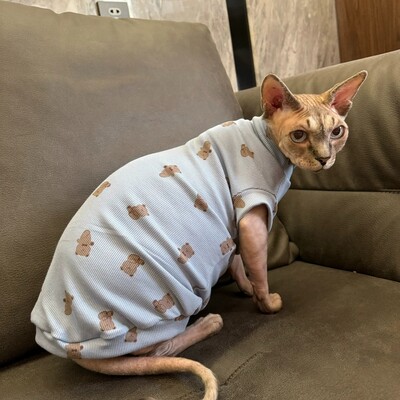 Apģērbs vīriešu kaķim Sphynx Cat Vasaras mīksta auduma krekls kaķēniem Blue Cartoon Bear Lion Atpūtas apģērbs Devon Rex pavasarī