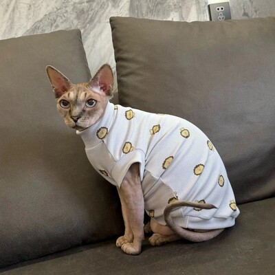 Apģērbs vīriešu kaķim Sphynx Cat Vasaras mīksta auduma krekls kaķēniem Blue Cartoon Bear Lion Atpūtas apģērbs Devon Rex pavasarī