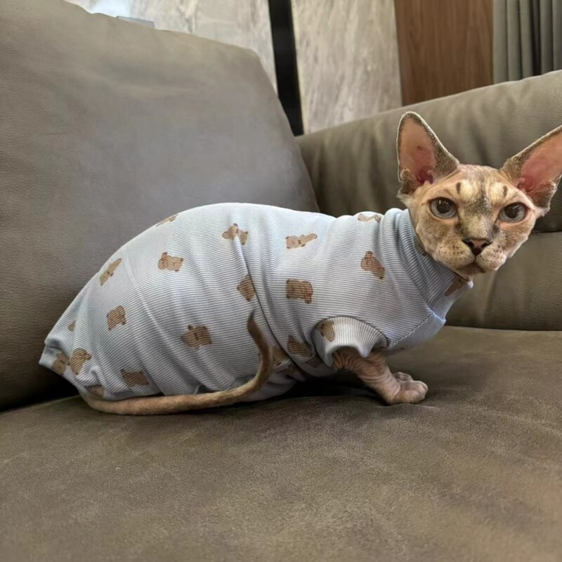 Apģērbs vīriešu kaķim Sphynx Cat Vasaras mīksta auduma krekls kaķēniem Blue Cartoon Bear Lion Atpūtas apģērbs Devon Rex pavasarī