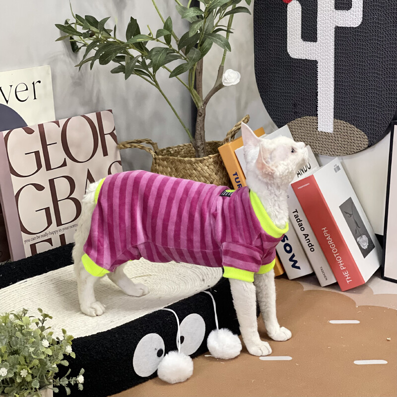 Kačių drabužiai Dryžuotas megztinis Sfinksui Cat Soft Rose Red paltas kačiukams Ilgomis rankovėmis Elestic Devon Rex pavasariui