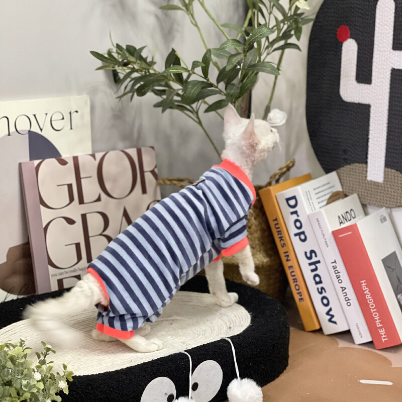 Kačių drabužiai Dryžuotas megztinis Sfinksui Cat Soft Rose Red paltas kačiukams Ilgomis rankovėmis Elestic Devon Rex pavasariui