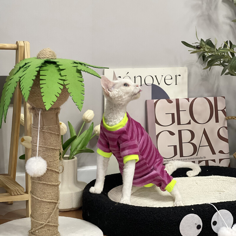 Kačių drabužiai Dryžuotas megztinis Sfinksui Cat Soft Rose Red paltas kačiukams Ilgomis rankovėmis Elestic Devon Rex pavasariui