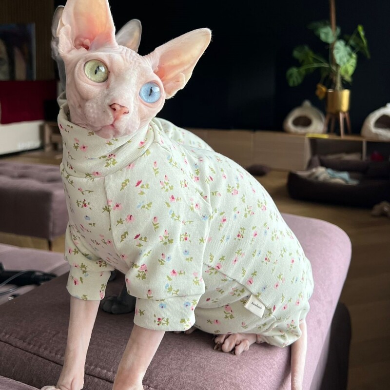 Meleg pamut kabát Sphynx macska tavaszi puha szövetből készült elasztikus jumpsuit kiscicáknak Zöld virágos, magas nyakú pulóver Devon Rex számára