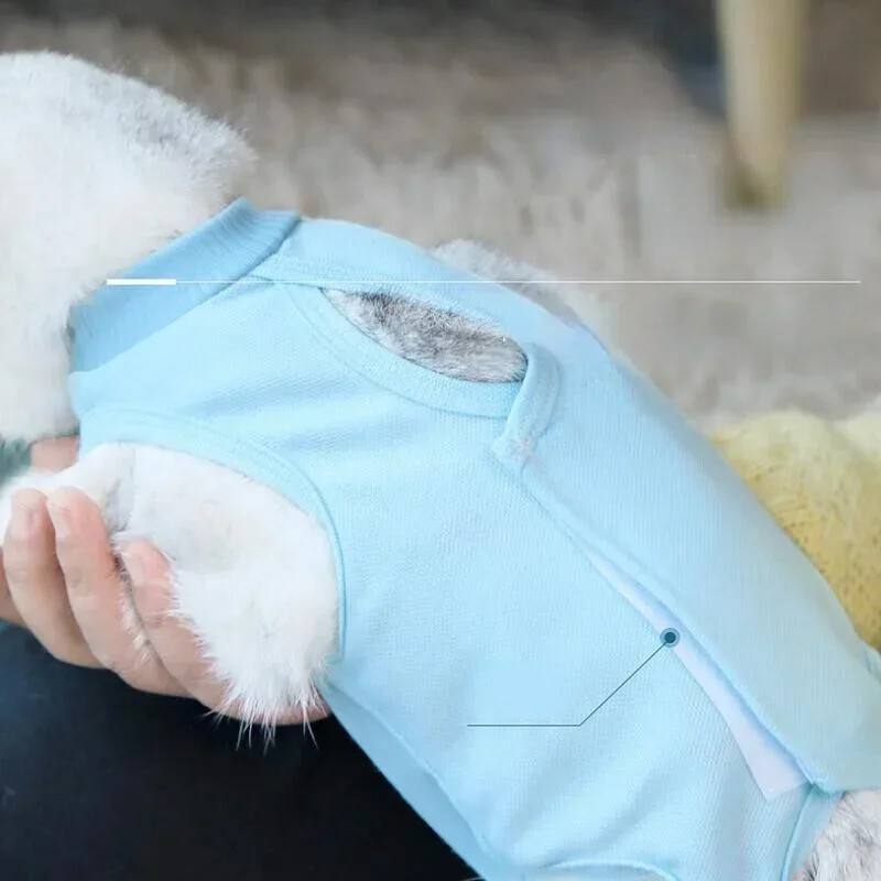 Haine pentru pisici Haine de recuperare respirabilă pentru animale de companie Haine pentru îngrijirea animalelor de companie anti-linge pentru câini Haine cu cataramă de pastă cu patru picioare Haine pentru animale de companie