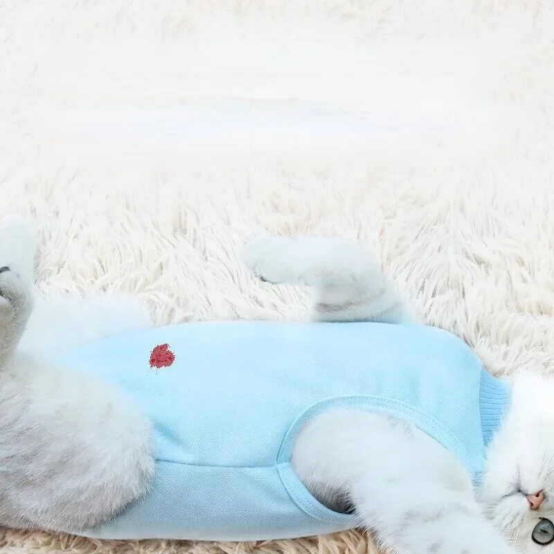 Haine pentru pisici Haine de recuperare respirabilă pentru animale de companie Haine pentru îngrijirea animalelor de companie anti-linge pentru câini Haine cu cataramă de pastă cu patru picioare Haine pentru animale de companie