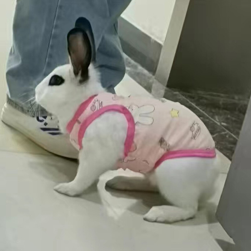 Apsauginiai rūbai katėms Vasarinė naminių gyvūnėlių liemenė Itin plona, kvėpuojanti, miela spausdinta kačiuko šuniuko rūbai triušiui Pižamos ropa gato