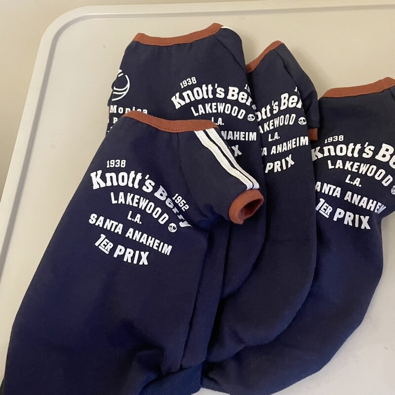 Madingi medvilniniai marškinėliai kačių pavasariui japonietiško stiliaus mėlyni ilgomis rankovėmis raidžių megztiniai sfinkso katės Devon Rex kombinezonas