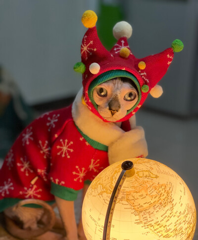 Nauji kalėdiniai sniego kostiumo rūbai Sphynx Cat Šiltas megztinis beplaukėms katėms Žieminės vilnos striukė Devon Rex Pet Product