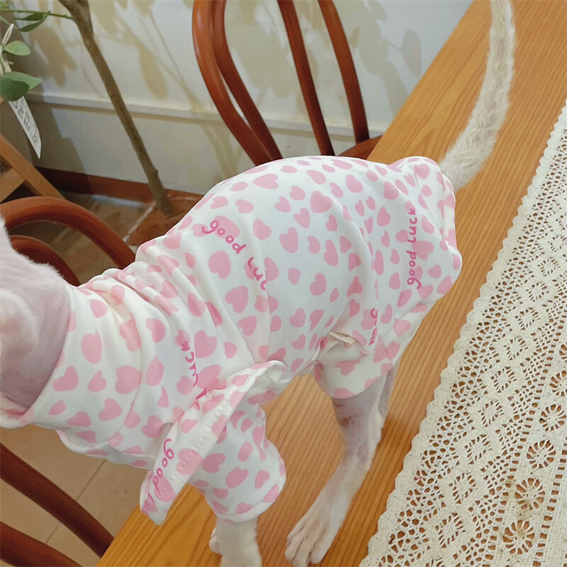 Pavasarinė rožinė suknelė Sfinkso katėms Medvilniniai nėriniai Rankovės Sijonas beplaukėms katėms Drabužiai Minkšti Saldūs meilės marškinėliai kačiukams vasarą