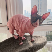 Îmbrăcăminte pentru pisici Jachetă din bumbac cu 4 picioare, cu dungi de primăvară, pentru pisică Sphynx Tricou de iarnă, pentru pisoi, haine gri calde pentru Devon Rex