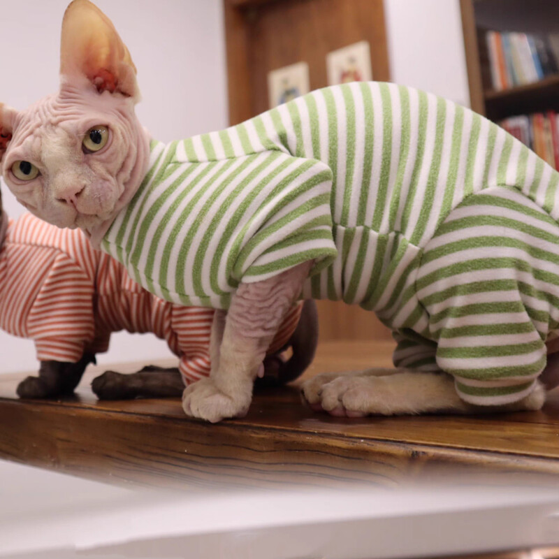 Îmbrăcăminte pentru pisici Jachetă din bumbac cu 4 picioare, cu dungi de primăvară, pentru pisică Sphynx Tricou de iarnă, pentru pisoi, haine gri calde pentru Devon Rex