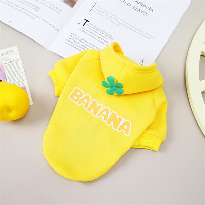 Klasikinis vaisių raštas Sfinksas Cat Hoodie Megztinis Rudens Žiemos Šilti Apranga gyvūnams Katėms Gotas Garfield Katten Šunų talismanas Kostiumas