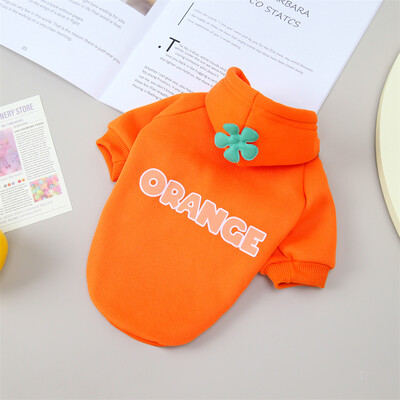 Klasikinis vaisių raštas Sfinksas Cat Hoodie Megztinis Rudens Žiemos Šilti Apranga gyvūnams Katėms Gotas Garfield Katten Šunų talismanas Kostiumas