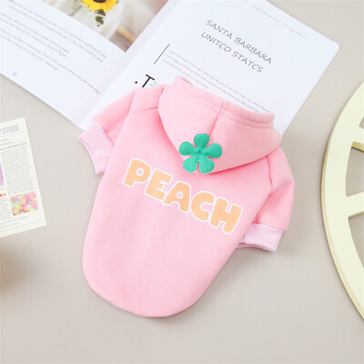 Klasikinis vaisių raštas Sfinksas Cat Hoodie Megztinis Rudens Žiemos Šilti Apranga gyvūnams Katėms Gotas Garfield Katten Šunų talismanas Kostiumas