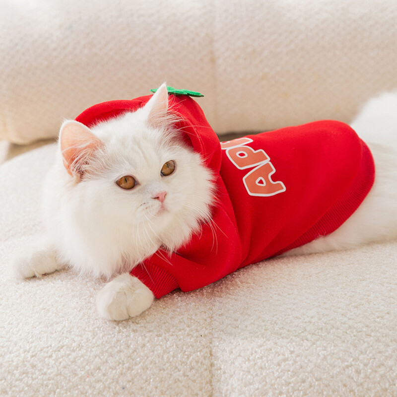 Klasikinis vaisių raštas Sfinksas Cat Hoodie Megztinis Rudens Žiemos Šilti Apranga gyvūnams Katėms Gotas Garfield Katten Šunų talismanas Kostiumas