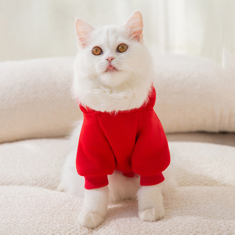 Klasikinis vaisių raštas Sfinksas Cat Hoodie Megztinis Rudens Žiemos Šilti Apranga gyvūnams Katėms Gotas Garfield Katten Šunų talismanas Kostiumas