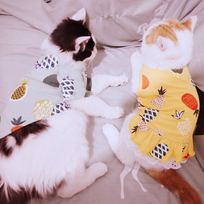 Sweet Print Sfinkso katės liemenė marškinėliai Vasariniai medvilniniai rūbai katėms Gotas mascotas Drabužiai Katten Kedi Kostiumas vetement chat