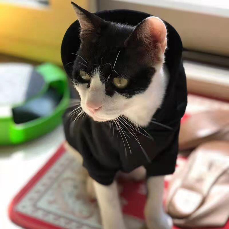 Helovino kačių šuniukų gobtuvai rudens žiemos naminiai megztiniai mažiems šunims katėms Sfinkso drabužiai kačiuko kostiumas ropa para gatos