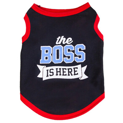 Ljetna pamučna odjeća za mačke Sphynx Odjeća Otisnuta slova Pet prsluk Majica za mačke Gotas Kitten Garfield Majice maskote Odjeća